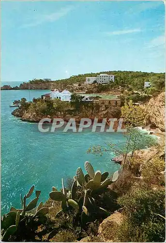 Cartes postales moderne Mallorca Baleares Espana Paguera Cala Fornella