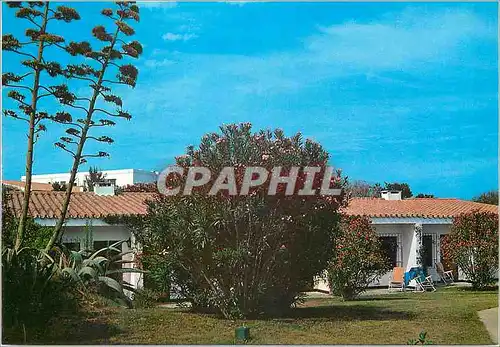 Cartes postales moderne Club Mediterranee Puerto de Santa Maria Cadiz