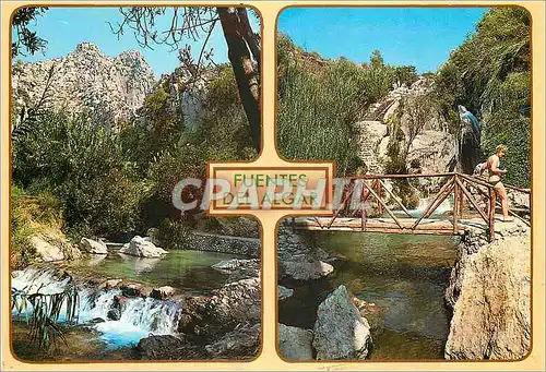 Cartes postales moderne Callosa d en Sarria Alicante Fuentes del Algar