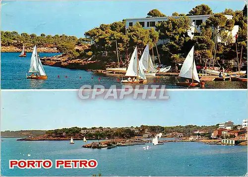 Cartes postales moderne Mallorca Porto Petro
