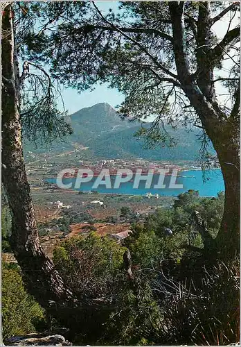 Cartes postales moderne Mallorca Baleares Espana Vista parcial del Puerto