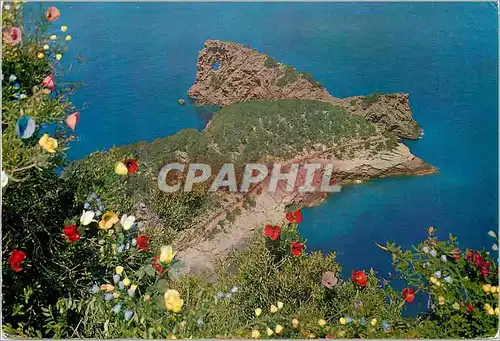 Cartes postales moderne Mallorca Baleares Espana