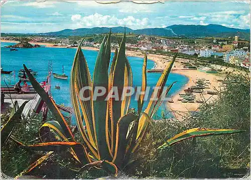 Cartes postales moderne Costa Brava Une joli et tipique vue de un village catalan