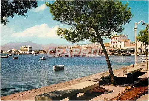 Cartes postales moderne Puerto de Alcudia Mallorca Vue partielle