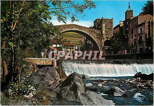 Cartes postales moderne Camprodon Pont romain