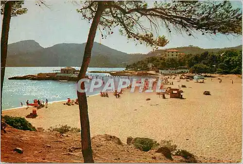 Cartes postales moderne Mallorca Plage de Camp de Mar