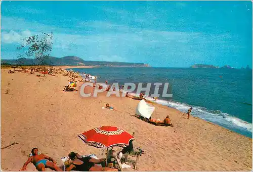 Cartes postales moderne Camping el Delfin Verde Costa Brava