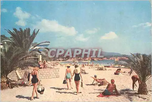 Cartes postales moderne Palma Nova Mallorca