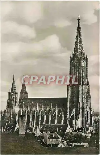 Cartes postales moderne Ulm a Donau Munster