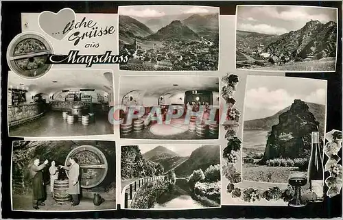 Cartes postales moderne Mayschosser Winzer Verein Alteste und grosste Winzer Genossenschaft