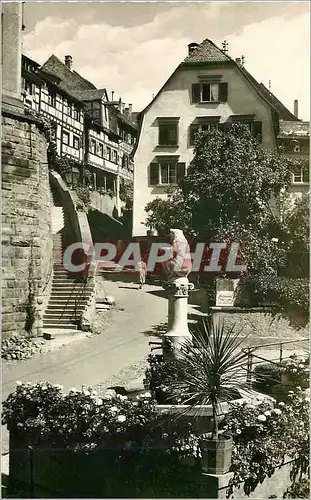 Cartes postales moderne Meersburg Barenbrunnen