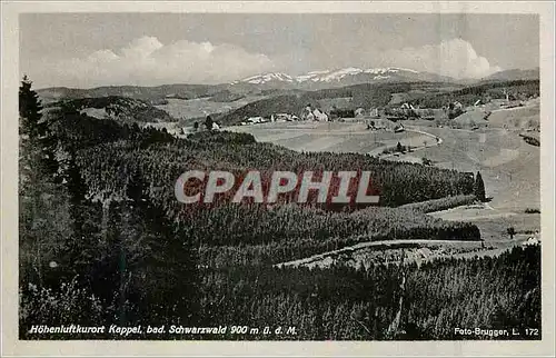 Cartes postales moderne Hohenluftkurort Kappel bad Schwarzwald