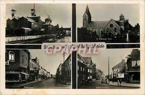 Cartes postales moderne Groeten uit Spekholzerheide