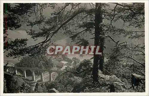 Cartes postales moderne Schwarzwald