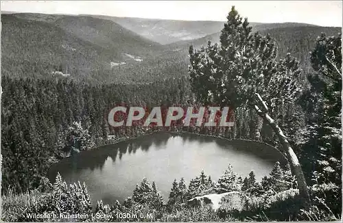 Cartes postales moderne Wildsee b Ruhestein i Schw