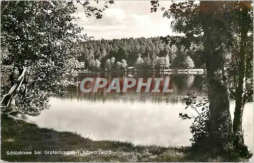 Cartes postales moderne Schluchtsee bei Grafenhausen i Schwarzwald