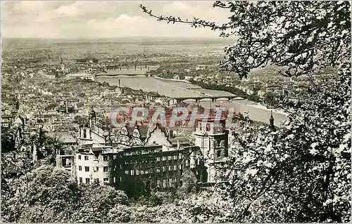 Cartes postales moderne Fruhling in Heidelberg