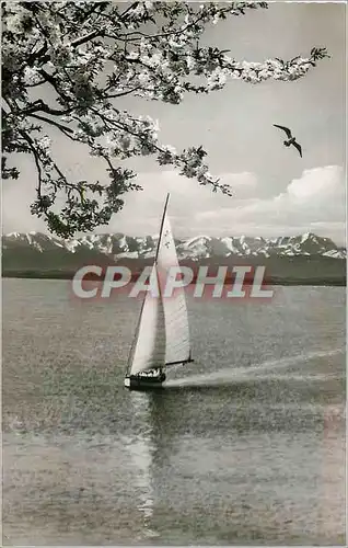 Moderne Karte Fruhling am Ammersee Obb bei Fernsicht mit Wettersteingebirge Bateau