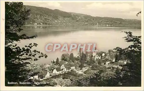 Cartes postales moderne Bodman Bodensee Adlerblick