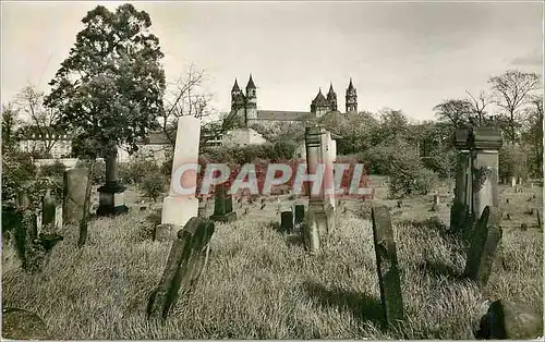 Cartes postales moderne Worms am Rhein Altester Judenfriedhof Europas mit Blick zum Dom