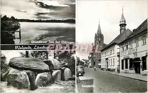 Cartes postales moderne Walsrade Luneberger Heide