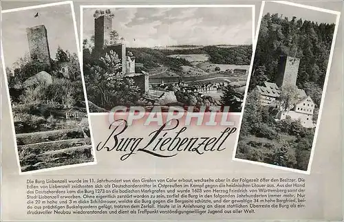 Cartes postales moderne Burg Liebenzell