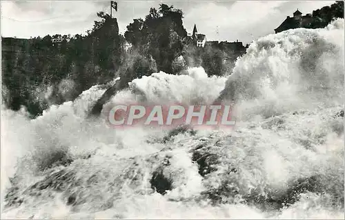 Cartes postales moderne Der Rheinfall vom Kanzeli Aus