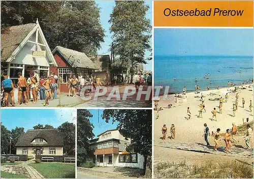 Cartes postales moderne Ostseebad Prerow