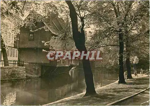 Cartes postales moderne Erfurt Am Dammchen