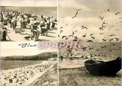 Cartes postales moderne Binz