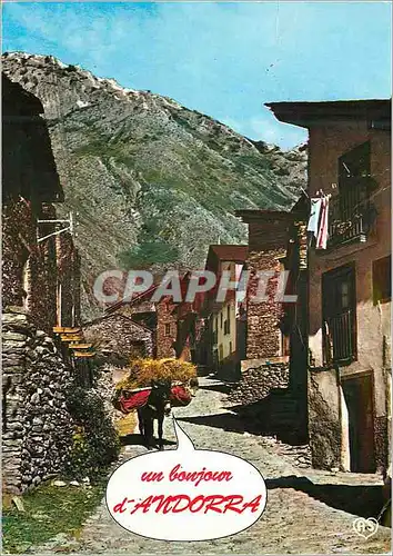 Cartes postales moderne Valls d Andorra Ane Donkey