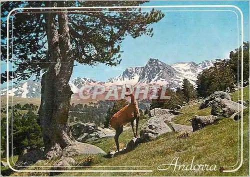 Cartes postales moderne Valls d Andorra Vall d Envalira