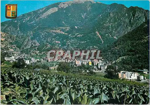 Cartes postales moderne Valls d Andorra Les Escaldes Vue generale