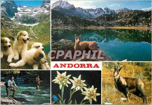 Cartes postales moderne Valls d Andorra
