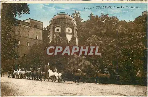 Cartes postales Coblence Le Karthaos Chevaux Militaria