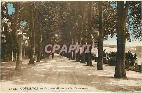 Cartes postales Coblence Promenade sur les bords du Rhin