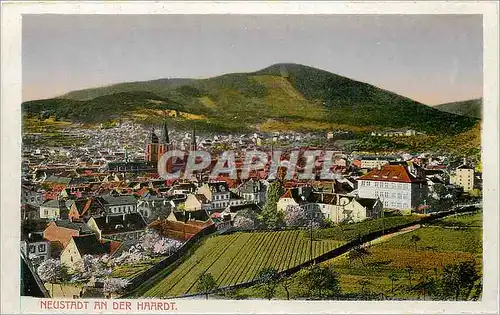 Cartes postales Neustadt an der Haardt