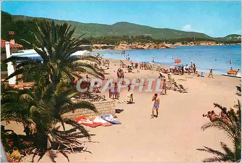 Cartes postales moderne Mallorca Palma Nova