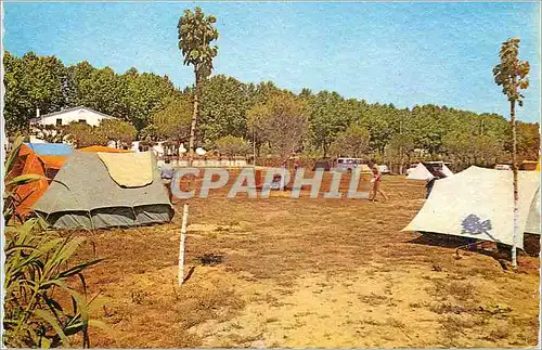 Cartes postales moderne Camping El Carro Canet de Mar Barcelona Vue partielle du Camp