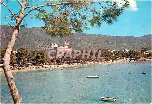 Cartes postales moderne Mallorca Baleares Espana Palma Nova Vista Parcial