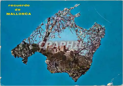 Cartes postales moderne Recuerdo de Mallorca