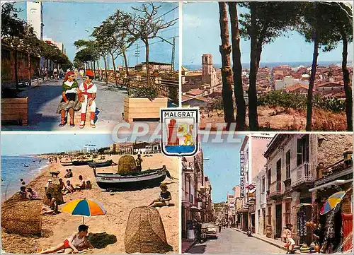 Cartes postales moderne Malgrat Lion