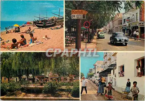 Cartes postales moderne Pineda