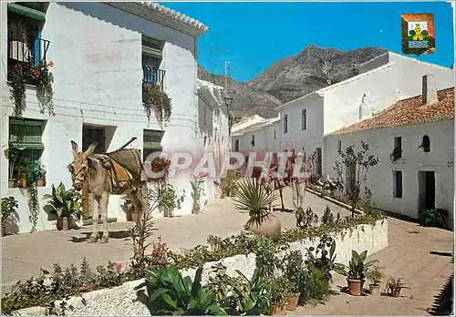 Cartes postales moderne Benalmadena Costa del Sol Tipica Calle de Comillas Ane Donkey