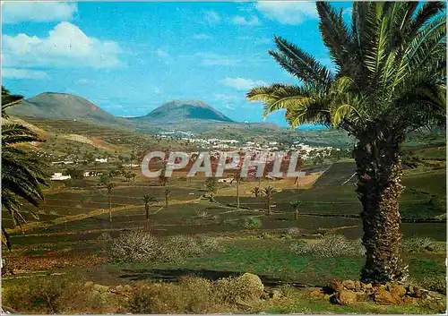 Cartes postales moderne Haria Lanzarote Vallee des Palmiers