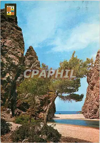 Cartes postales moderne Mallorca