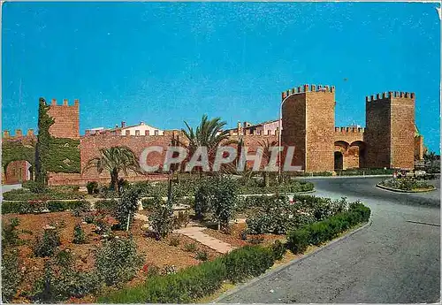 Cartes postales moderne Alcudia Mallorca