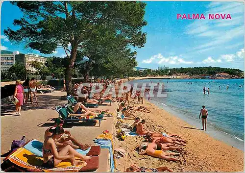 Cartes postales moderne Palma Nova Mallorca Plage