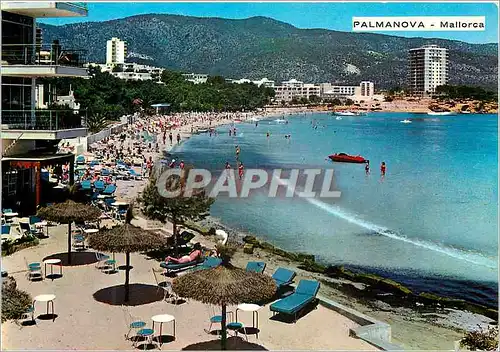 Cartes postales moderne Palmanova Mallorca