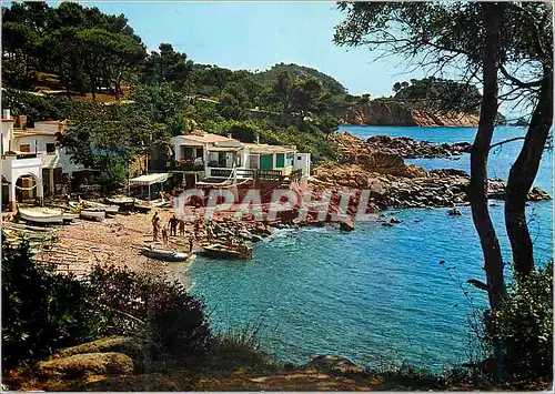 Cartes postales moderne Costa Brava Cala S Alguer